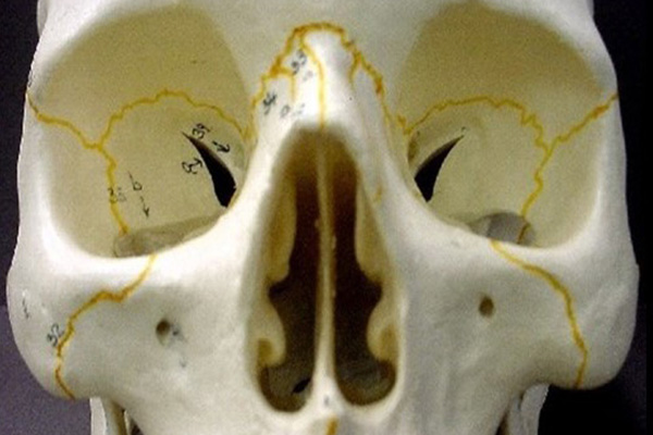 En este momento estás viendo Órbita